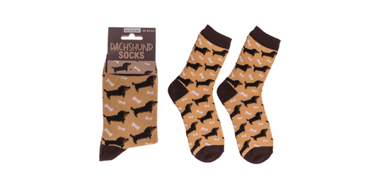 Calcetines perro salchicha